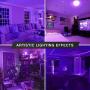2 Pack BlueX LED A19 Purple Light Bulb - 9W (60Watt Equivalent) - E26 Base LED Purple Bulb, Party Decoration, Porch, Home Lighting, Holiday Lighting, Decorative Illumination (Purple)
