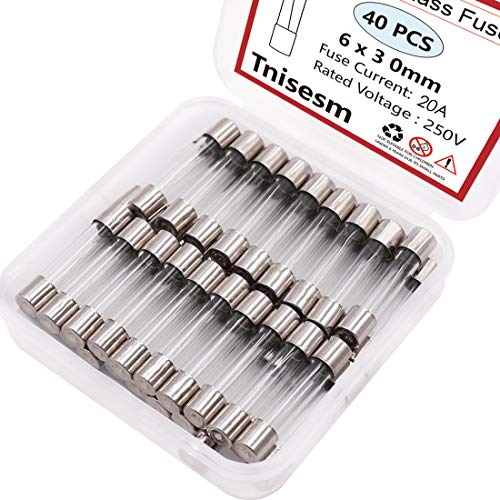 Tnisesm 40 Pcs F20AL Fast-Blow Fuse 20A 250 V Glass Fuses 6 x 30mm/0.24'' x 1.18'' 6 x 30-20A