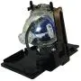 AuraBeam 915B455012 Professional Replacement Lamp with Housing for Mitsubishi Rear Projection TVS (Powered by Philips)