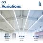 Hyperikon 8 Foot LED Tube, T8 T10 T12 75 Watt Replacement (36W), Ballast Bypass, Clear Lens, UL, Bright White, 12 Pack