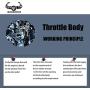 MUSCOLOTECH Electronic Throttle Body Assembly with IAC TPS for 2006 2007 2008 2009 2010 Chrysler Dodge 2.7L 3.5L 4.0L Replace 4861694AA