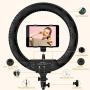 18 Inch Ring Light with Tripod Stand iPad Holder LED Ringlight Color Temperature 3200K to 5500K Makeup Ringlights with Phone Holder Carry Bag Camera Video Shoot Selfie Portrait