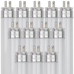 Sunlite F54T5/850/HO/12PK T5 High Output Performance Mini Bi-Pin (G5) Base Straight Tube Light Bulb (12 Pack), 54W/5000K, Soft White