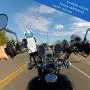 Bike & Motorcycle Phone Mount Holder. Bicycle Handle Universal Cell Phone Bracket.Shockproof Silicone. Double Reinforcement. for iPhone,Samsung or Any Smartphone. and The 360° Swivel is Perfect