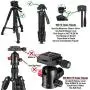 DaVoice 43mm Tripod Quick Release Plate Camera Mounting Adapter Parts Replacement for Torjim 60-Inch AX60, Endurax 66'' ETR66, Phopik 55'' PT204V, UBeesize 60” TR60, Zomei Q111 Mactrem PT55 Tripod Mount