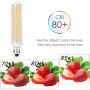 E11 LED Bulb, Dimmable 100W E11 Halogen Bulb Replacement, 9W 1100lm Patented Product,E11 Mini Candelabra Base, for Indoor Decorative Lighting,Warm White 3000K, 2-Pack