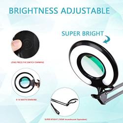 Magnifying Floor Lamp, Addie Super Bright 3-in-1 Facial Magnifier Lamp - 2.25x Dimmable Full Spectrum Natural Daylight Sunlight LED Standing Light with Utility Clamp, Desk/ Task Craft Lamp-Black