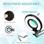 Magnifying Floor Lamp, Addie Super Bright 3-in-1 Facial Magnifier Lamp - 2.25x Dimmable Full Spectrum Natural Daylight Sunlight LED Standing Light with Utility Clamp, Desk/ Task Craft Lamp-Black