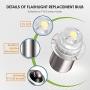 30 Lumen 3-Volt LED Replacement Bulb Flashlight Bulbs LED Torch Flashlight Bulb with 10 Year Lifespan, 41-1643 (3)
