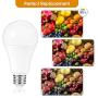 LOHAS A21 LED Light Bulb, 23W Light Bulbs(150W-200W Equivalent), 2500 Lumen Super Bright LED, Soft/Warm White 3000K, E26 Medium Base Light, Not-Dimmable, LED Bulb High Lumen for Home Lights, 4 Pack LOHAS A21 LED Light Bulb, 23W Light Bulbs(150W-200W Equivalent), 2500 Lumen Super Bright LED, Soft/Warm White 3000K, E26 Medium Base Light, Not-Dimmable, LED Bulb High Lumen for Home Lights, 4 Pack
