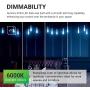 Sunco Lighting 8 Pack ST64 LED Bulb, Dimmable, Waterproof, 8.5W=60W, 6000K Daylight Deluxe, Vintage Edison Filament Bulb, 800 LM, E26 Base, Restaurant or String Lights - UL