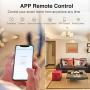 3 Way Smart Switch, Gosund WiFi Light Switch Works with Alexa and Google Home, Schedule Timer, Neutral Wire Required, Single-Pole and 3-Way Installation, No Hub Required, ETL and FCC Listed (1-Pack)