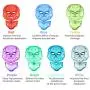 LED Face Mâsk Light Therapy - 7 Color Light Therapy Mâsk Photon Skin Rejuvenation Facial Skin Care with Neck Care Anti Aging Wrinkles Skin Tightening Wrinkles Toning Mâsk