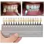 1 Set 16 Colors 3D Teeth Whitening Shade Guide Porcelain - Tooth Bleaching Shade Chart Mold - Tracking & Comparing - Dental Equipment Dentist Material - Professional or Household Oral Care (White)