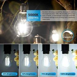 LED A19 Dimmable Light Bulbs 100W Equivalent, Vintage E26 Edison Bulbs 8W 1200LM, 5000K Daylight White, Clear Antique LED Filament Bulb for Home, Bathroom, Indoor&Outdoor, 6-Pack