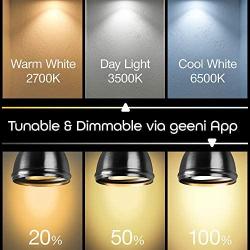 Geeni LUX MR16 2-Pack LED Smart Spot Light Dimmable Tunable GU10 Light Bulb 35W Equivalent 350 Lumens, No Hub Required Compatible with Alexa The Google Assistant, 2 Pack