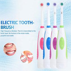 Electric Toothbrush Battery Power Round Brush Head Travel Electronic Whitening Cleaning Tooth Oral Care 3 Replacement Heads(Purple)
