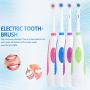 Electric Toothbrush Battery Power Round Brush Head Travel Electronic Whitening Cleaning Tooth Oral Care 3 Replacement Heads(Purple)