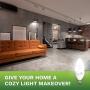 6 Pack 40 Watt Candelabra Bulbs 5W Dimmable Candelabra LED Bulbs C37 E12 Base 325 lumens,120° Beam Angle 3000K Soft White LED Candle Bulbs UL Listed Bioluz LED Pack of 6