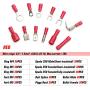 Qibaok 840PCS Electrical Wire Connectors, Insulated Wire Crimp Terminals, Mixed Butt Ring Fork Spade Bullet Quick Disconnect Assortment Kit