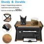 Wood Printer Stand, Multipurpose Storage Shelf for Home, Office, Printer Desk with 4 Cushion, 2 Tier (ins)