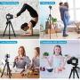 Endurax Camera Tripod 60'' for Canon Nikon Phone DSLR Tripods Stand with Universal Phone Mount & Remote Shutter Max Load 6.6 lb