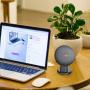 SPORTLINK Pedestal for Nest Mini (2nd Gen) and Google Home Mini (1st Generation) Improves Sound Visibility and Appearance - A Must Have Mount Holder Stand for Nest Mini (2nd Gen)/ Home Mini (2 Pack)