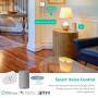 LINGANZH Smart Plug 2 Pack, Mini WiFi Smart Socket Compatible with Alexa Echo Google Home, No Hub Required, Timer Schedule, Smart WiFi Plug Outlet Remote Control Your Devices from Anywhere