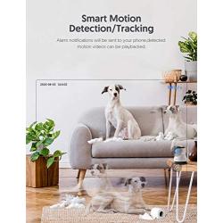 Victure 1080P Pet Camera, 2.4G WiFi Camera with Smart Motion Detection/Tracking, Sound Detection, Two-Way Audio, Night Vision, Cloud Service, iOS/Android, APP - Victure Home