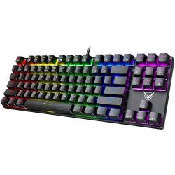 PICTEK TKL Mechanical Gaming Keyboard, RGB LED Rainbow Backlit 60% keyboard with Blue Switches, 27 LED Lighting Modes 87 Keys Keyboard, 100% Anti-Ghosting Tenkeyless Keyboard for Windows PC/MAC Games
