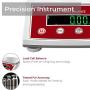 American Fristaden Lab Precision Analytical Scale 3000g x 0.01g | 0.01 Gram Lab Scale | Centigram Scale | Calibrated Scale | High Accuracy Digital Balance for Lab, Jewelry, Business | 1YR Warranty