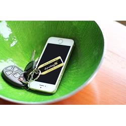 Dynotag Web Enabled Smart Keychain Tag with DynoIQ & Lifetime Recovery Service. Deluxe Coated Steel, with Steel Key Ring