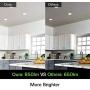 12 Pack 4 Inch Selectable CCT LED Recessed Lighting, Baffle Trim, CRI90, 850lm, 11W=80W, 2700K/3000K/3500K/4000K/5000K Adjustable, Dimmable Recessed Lighting, Damp Rated LED Recessed Downlight, ETL