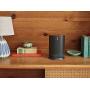 Sonos Move - Battery-powered Smart Speaker, Wi-Fi and Bluetooth with Alexa built-in - Black​​​​​​​