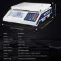 Counting Scale for Parts and Coins | 66lb x 0.0011lb | 30kg/0.5g | Precision Electronic Digital Gram Scale Industrial Scale Lab Industrial Counting and Weighing(Without Battery and RS232 Data Cable)