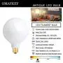 OMAYKEY 15W Dimmable Large LED Globe Bulb 100W Equivalent 1000LM, 3000K Soft White E26 Medium Base, Vintage Edison G125 Large Globe Edison Style LED Filament Light Bulb, Deep Dimming Version