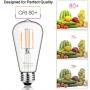 Mastery Mart Vintage LED Light Bulb, Glass ST21 Antique Edison Style, Dimmable 5.5W (60 Watt Equivalent), 500LM 2700K Soft White, E26 Decorative Filament Bulb, UL and Energy Star, 10 Pack
