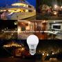 ChiChinLighting 12 Volt 7 Watt LED Light Bulb (3 Bulbs Per Pack) - E26/E27 Light Bulb 12v Low Voltage - Warm White 3000k 7w Light Bulb - Off Grid Solar System, RV, Marine LED Lights