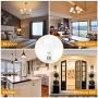 LOHAS A21 LED Light Bulb, 23W Light Bulbs(150W-200W Equivalent), 2500 Lumen Super Bright LED, Soft/Warm White 3000K, E26 Medium Base Light, Not-Dimmable, LED Bulb High Lumen for Home Lights, 4 Pack LOHAS A21 LED Light Bulb, 23W Light Bulbs(150W-200W Equivalent), 2500 Lumen Super Bright LED, Soft/Warm White 3000K, E26 Medium Base Light, Not-Dimmable, LED Bulb High Lumen for Home Lights, 4 Pack