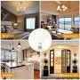 LOHAS A21 LED Light Bulb, 23W Light Bulbs(150W-200W Equivalent), 2500 Lumen Super Bright LED, Soft/Warm White 3000K, E26 Medium Base Light, Not-Dimmable, LED Bulb High Lumen for Home Lights, 4 Pack