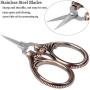 BIHRTC Little Scissors Embroidery Scissors Sharp Stainless Steel Straight Tip Scissor Cross Stitch Sewing Tool Detail Craft Shears for DIY Craft Thread Cutting, Needlework, Sewing