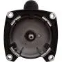 2.5 HP 3450 RPM 48Y Frame Square Flange 230V Pool Motor Century # USQ1252
