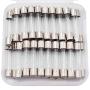 Tnisesm 40 Pcs F20AL Fast-Blow Fuse 20A 250 V Glass Fuses 6 x 30mm/0.24'' x 1.18'' 6 x 30-20A