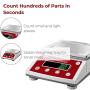 American Fristaden Lab Precision Analytical Scale 3000g x 0.01g | 0.01 Gram Lab Scale | Centigram Scale | Calibrated Scale | High Accuracy Digital Balance for Lab, Jewelry, Business | 1YR Warranty