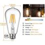 Edison Led Bulbs Dimmable Light Bulb 8W - 75 Watt Equivalent Vintage Style Filament Bulb 2700K Warm White E26 650 Lumen 6-Pack