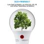 TORCHSTAR LED Dusk-to-Dawn A19 Light Bulb, Photo Sensor Outdoor Bulb, 9W (60W Eqv.), 800lm, 2700K Soft White, CRI 80+, UL & Energy Star Certified, for Porch, Front Door, 3 Years Warranty, Pack of 4