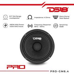 DS18 PRO-GM10 Loudspeaker - 10'', Midrange, Black Steel Basket, 660W Max, 220W RMS, 8 Ohms - Premium Quality Audio Door Speakers for Car or Truck Stereo Sound System (1 Speaker)