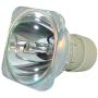 Lamp Replacement for Philips UHP 190-160W 0.9 E20.9
