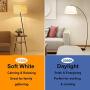 12Packs Vintage LED Edison Bulbs, 60W Equivalent 7W, 800Lumens, Dimmable ST64 Antique LED Filament, Daylight White 5000K, E26 Medium Base Light Bulbs High Brightness Clear Glass for Bedroom Office