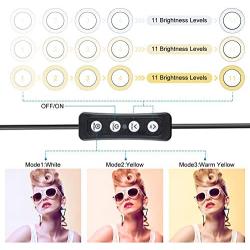 LED Ring Light 6'' with Tripod Stand for YouTube Video and Makeup, Mini LED Camera Light with Cell Phone Holder Desktop LED Lamp with 3 Light Modes & 11 Brightness Level (6'')